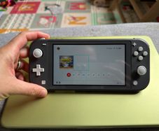 Nintendo Switch Lite Grey + 128GB Memory Card + Case + Charger