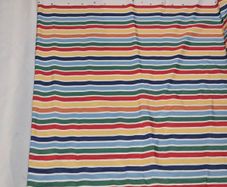 Cortins and rugs for children room