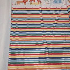 Cortins and rugs for children room