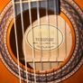 Guitar Image 2
