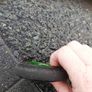scooter Image 5