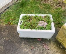 Used Belfast Sink