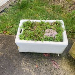 Used Belfast Sink