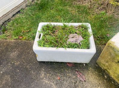 Used Belfast Sink