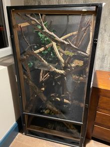 Reptile Enclosure