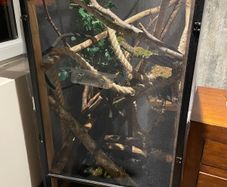 Reptile Enclosure