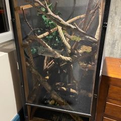 Reptile Enclosure