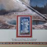 U.S.A. Mint Stamps : Buffalo Nickel Stamp And Coin Panel : " Yellowstone National Park " Image 3