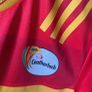 Carlow GAA Jersey Image 6