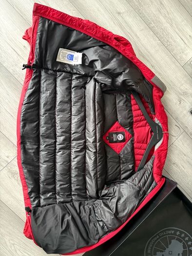 canada goose