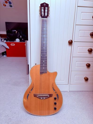 Semi acoustic electric guitar