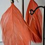 Boho Indie Burnt Orange Feather Earrings Image 3