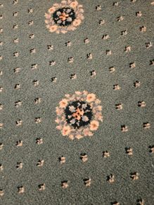 Living room carpet