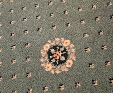 Living room carpet