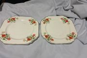 Thomas Hughes and son Fine Bone china plates