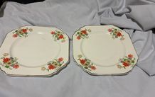 Thomas Hughes and son Fine Bone china plates