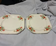 Thomas Hughes and son Fine Bone china plates