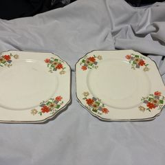 Thomas Hughes and son Fine Bone china plates
