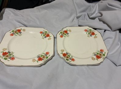 Thomas Hughes and son Fine Bone china plates