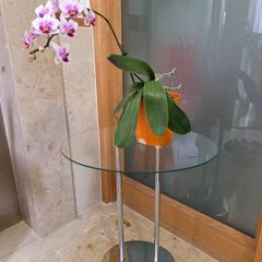 glass side table oval shape