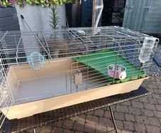 guinea pig cage