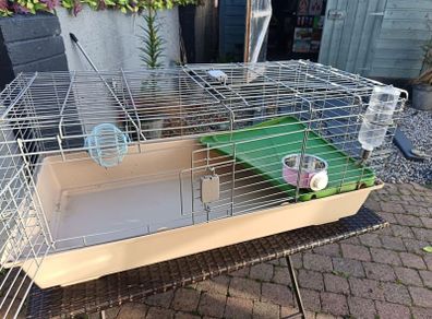 guinea pig cage