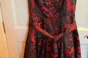 New Dress With Underskirt