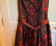 New Dress With Underskirt
