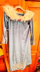 Disney Elsa costume