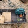 Animal cage Image 2