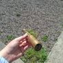 Brass pocket telescop possible to post Image 2