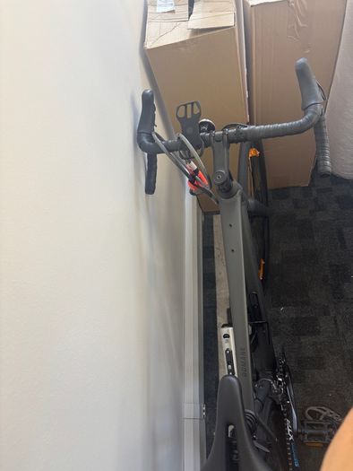 Trek Domane AL2 Gen 4