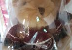 Collectable Teddy Bear