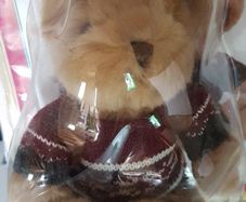 Collectable Teddy Bear