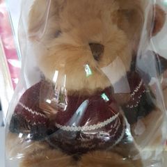 Collectable Teddy Bear