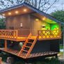 The ultimate luxury cat house / outdoor catio. Image 3