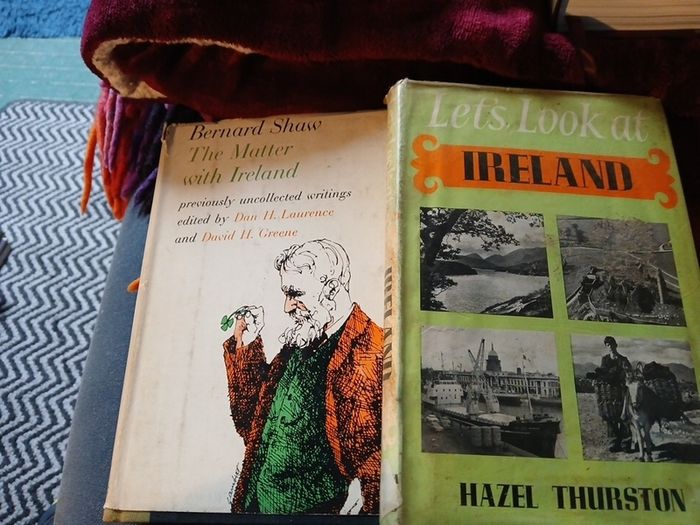 Irish interest