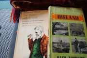 Irish interest