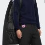 canada goose Image 3