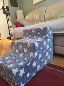 dog steps