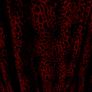 Warehouse dress (10) Image 4