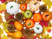 114 Pcs Artificial Pumpkins Autumn Decorations Set, Mini Pumpkins, Pine Cones, Acorns, Fake Leaves for Halloween, Thanksgiving, Fall Decorations