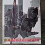Metal Gear Solid - Chogokin - Metal Gear REX Image 3
