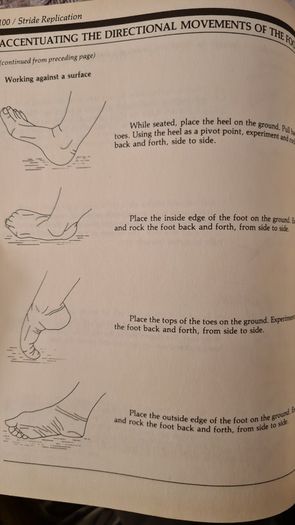 Hand And Food Reflexology. By Kevin And Barbra Kunz. The Unique Self-health Approach To Wellness. Large Volume Paperback In Good Condition.