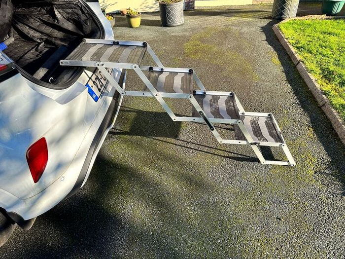 Dog Car Steps