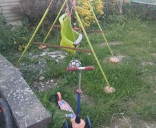 swing