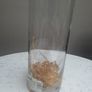 TALL Glass Gold embossed Vase Image 7