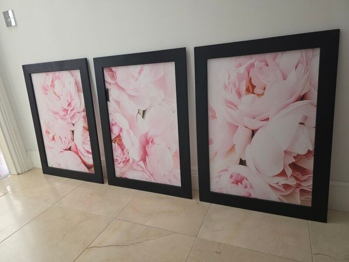 3 pictures with frame 53x72 cm