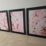 3 pictures with frame 53x72 cm Image 3