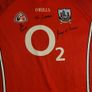 Cork Hurling Jersey Image 7